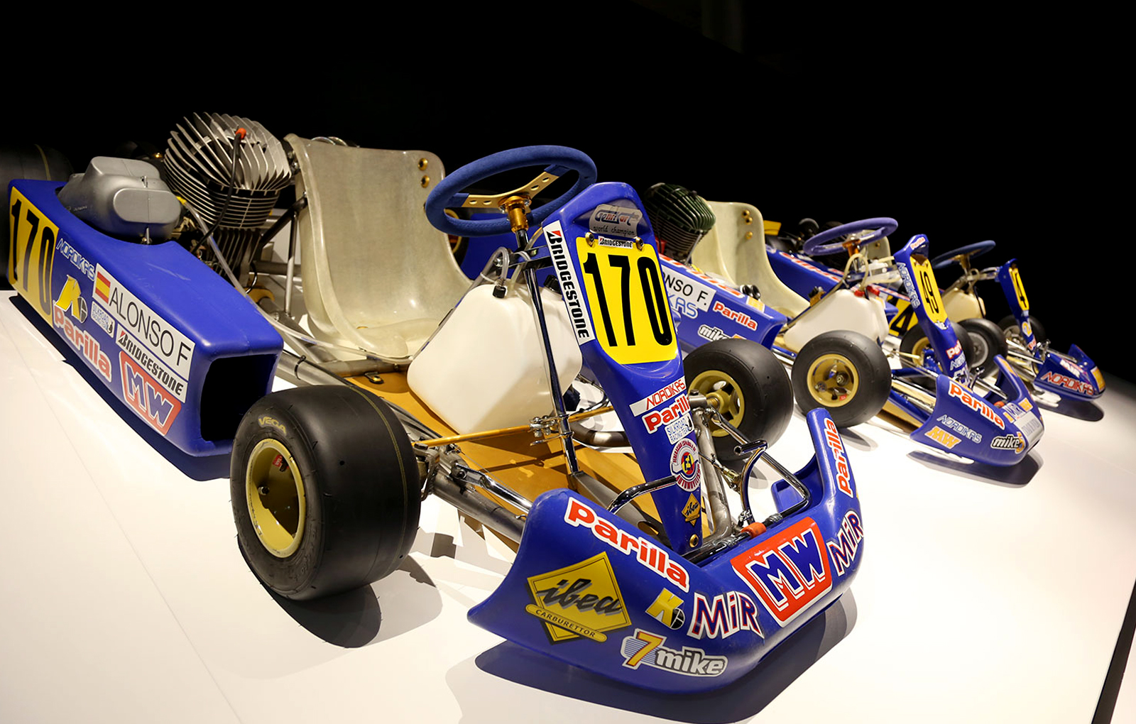 fernando alonso website